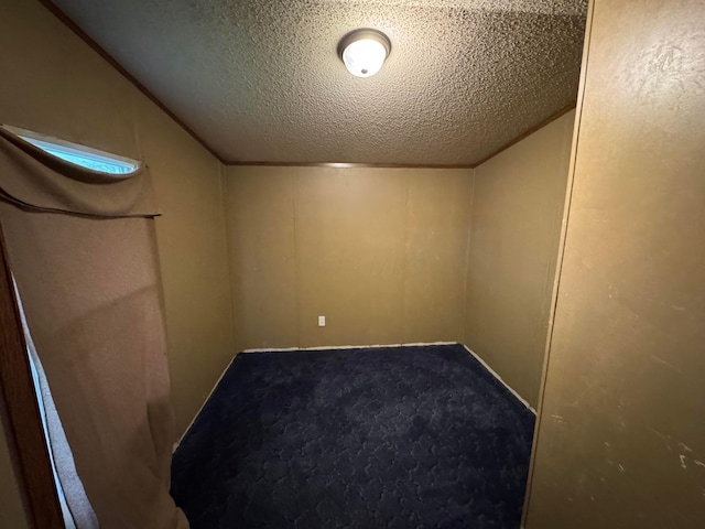 interior space with vaulted ceiling and a textured ceiling