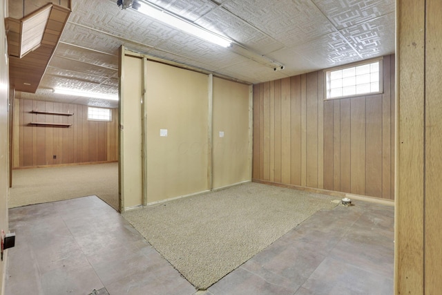 basement with wooden walls