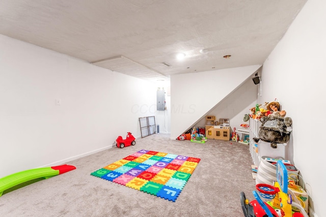 playroom featuring carpet flooring and electric panel