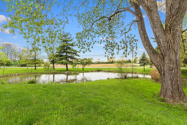 view of yard with a water view