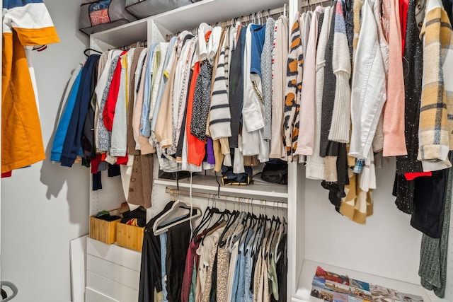 view of spacious closet