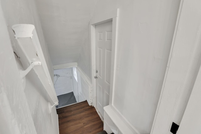 stairway featuring wood finished floors