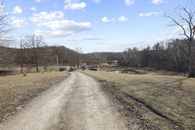 10695 State Route 93 N, Logan, OH 43138 - view of street featuring a water view, dirt driveway, and a wooded view