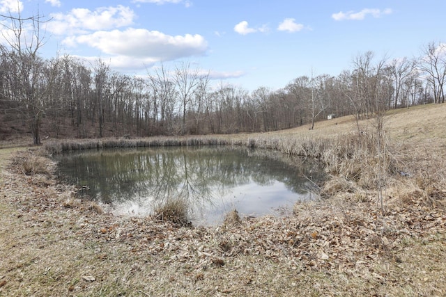 10695 State Route 93 N, Logan, OH 43138 - water view with a view of trees