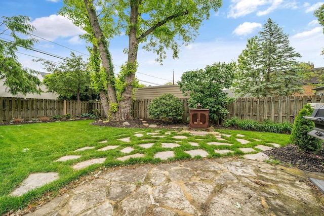 1920 Chatfield Rd, Columbus, OH 43221 - view of yard