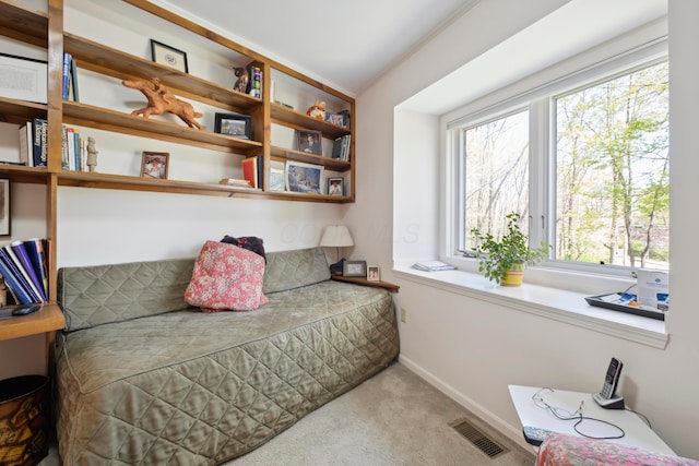 bedroom with carpet floors, multiple windows, baseboards, and visible vents