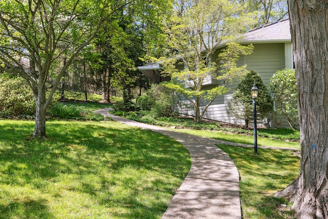 surrounding community with a yard