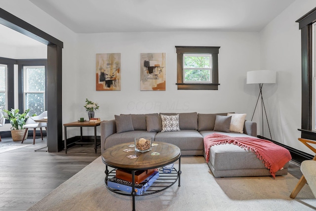 living area with wood finished floors