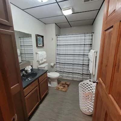 16900 Thompson Ridge Rd, Laurelville, OH 43135 - full bathroom with toilet, a shower with curtain, vanity, and a paneled ceiling