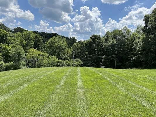 16900 Thompson Ridge Rd, Laurelville, OH 43135 - view of yard with a wooded view and a rural view