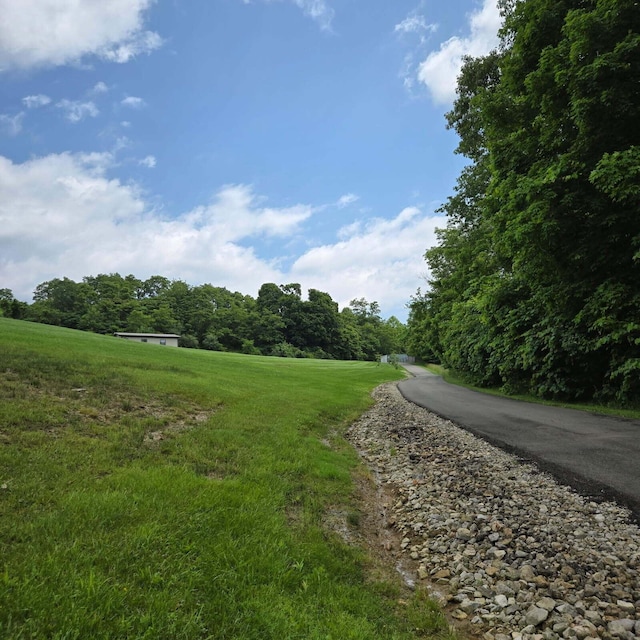 16900 Thompson Ridge Rd, Laurelville, OH 43135 - view of road with a wooded view