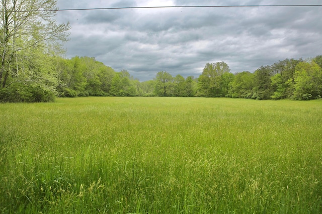 1676 E Bethel Church Rd, Gallipolis, OH 45631 - photo 45