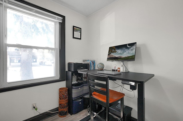 office space featuring ornamental molding and wood finished floors