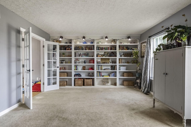 storage area featuring french doors
