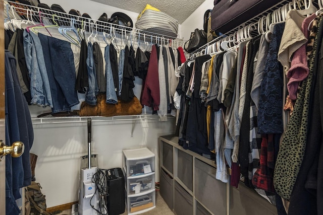 view of spacious closet