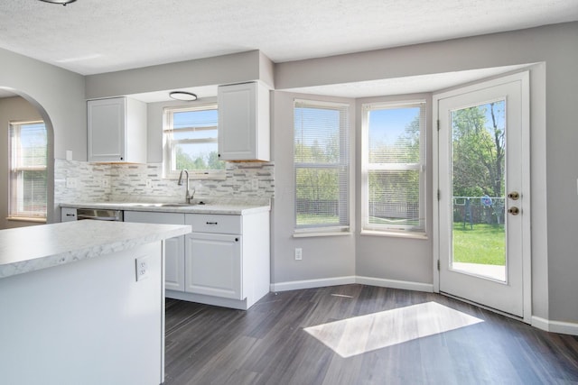 kitchen with a sink, light countertops, dark wood finished floors, plenty of natural light, and tasteful backsplash