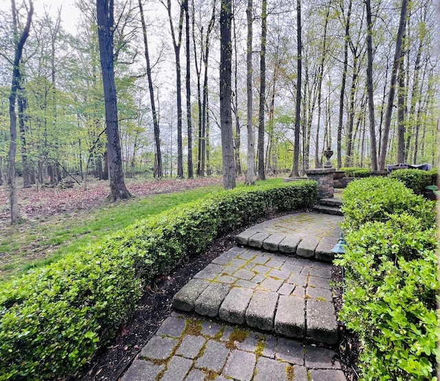 view of yard with a forest view