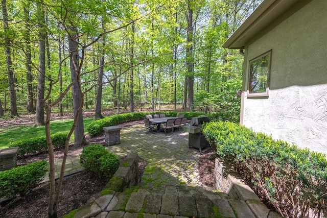 8884 Filiz Ln, Powell, OH 43065 - view of yard featuring a patio