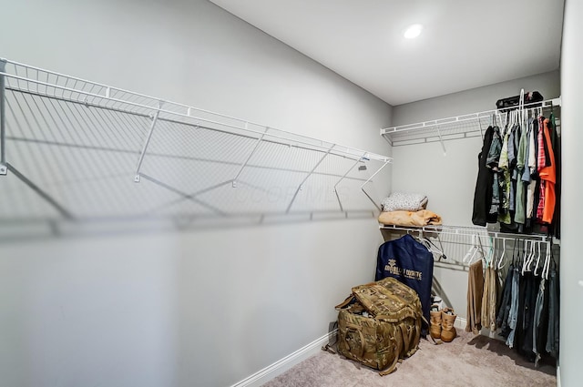 3781 Aviary Loop, Hilliard, OH 43026 - spacious closet featuring carpet flooring