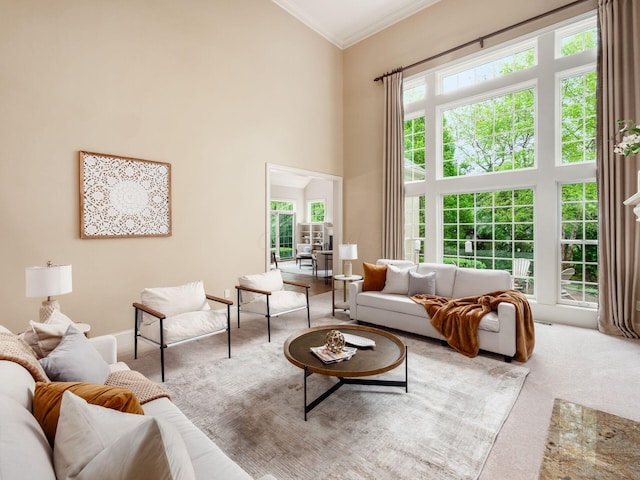living area featuring crown molding, carpet flooring, baseboards, and a towering ceiling