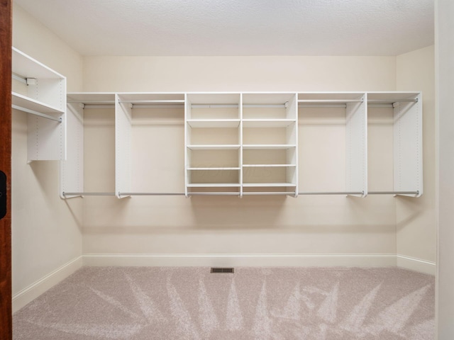 spacious closet featuring carpet flooring