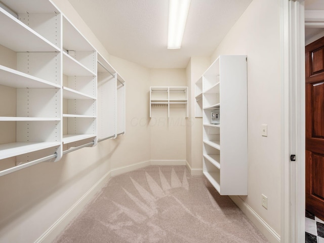 spacious closet featuring carpet flooring