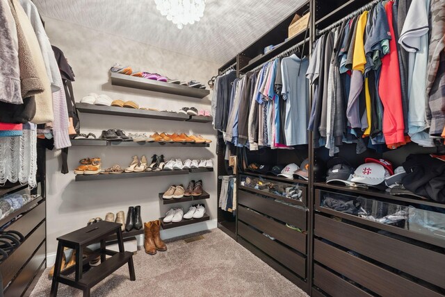 walk in closet featuring carpet floors