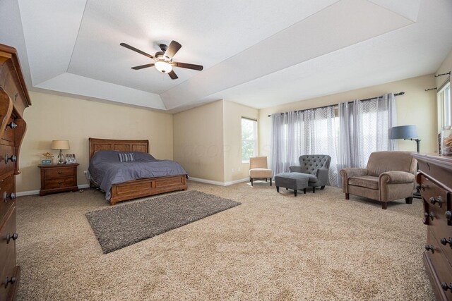 1923 Mallow Ln, Grove City, OH 43123 - bedroom featuring multiple windows, carpet flooring, and a tray ceiling