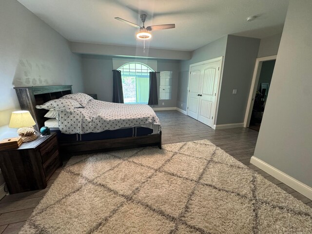 8610 Sadie Thomas Rd NW, Johnstown, OH 43031 - bedroom featuring baseboards, wood finished floors, ceiling fan, and a closet