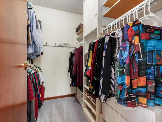 spacious closet with carpet