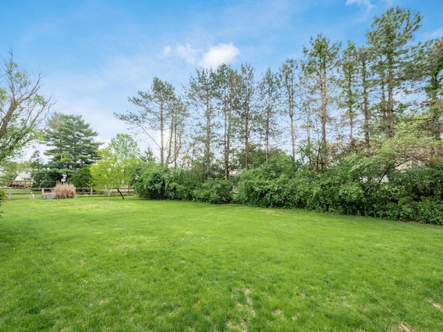 view of yard