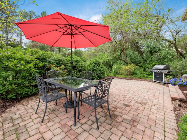 view of patio / terrace with outdoor dining space and area for grilling