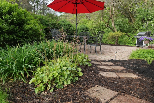 view of yard with a patio area