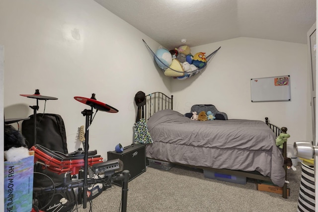 265 E St, Buckeye Lake, OH 43008 - bedroom with lofted ceiling, carpet floors, and a textured ceiling