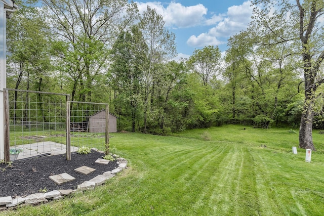 1702 Valley Forge Dr, Lancaster, OH 43130 - view of yard featuring an outdoor structure and a storage shed