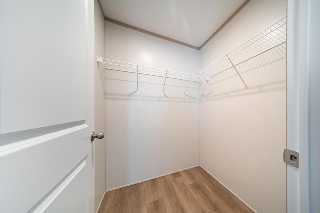 walk in closet featuring light wood-style floors