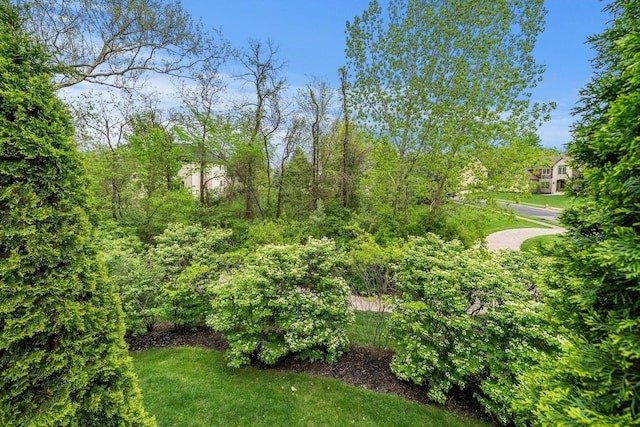 5694 Piermont Ct, Westerville, OH 43082 - photo 59