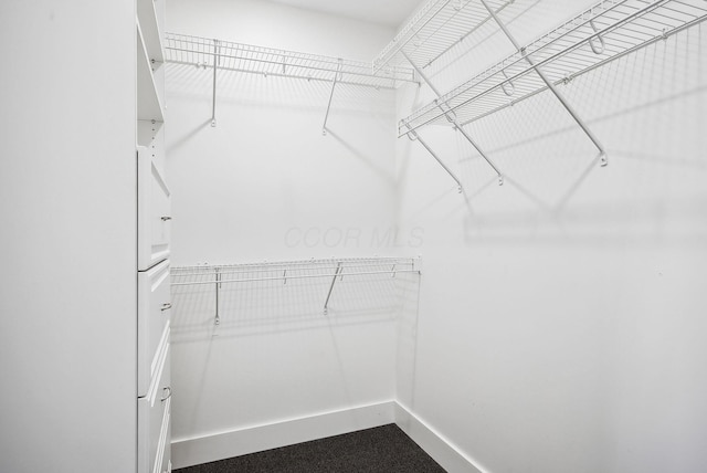 view of spacious closet