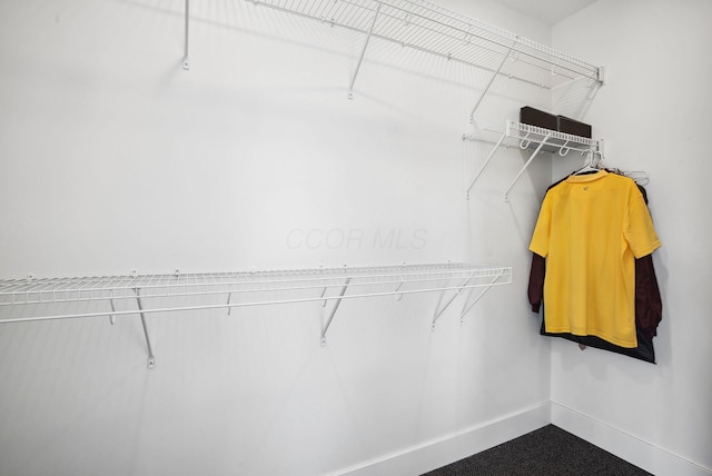 view of spacious closet