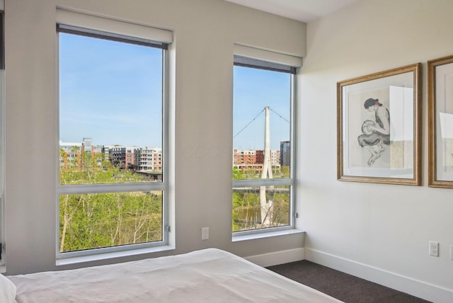 bedroom with a view of city, baseboards, and carpet