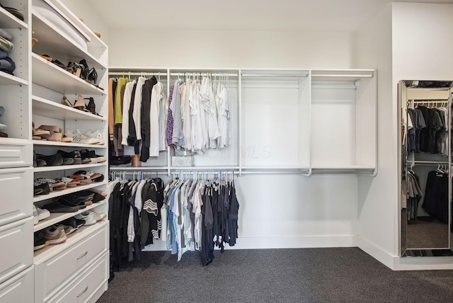 spacious closet with carpet flooring