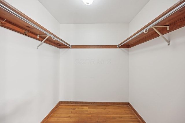 walk in closet with wood finished floors