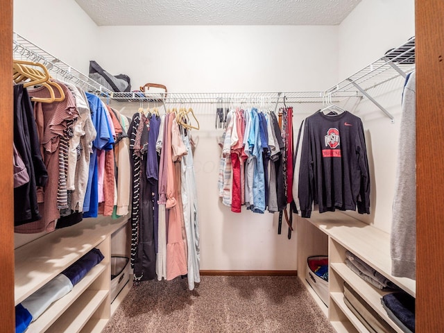 spacious closet with carpet