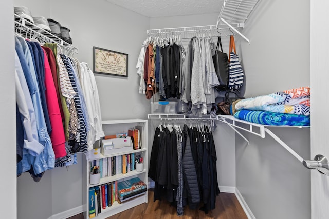 7742 Blue Juniper Dr, Westerville, OH 43082 - walk in closet with wood finished floors
