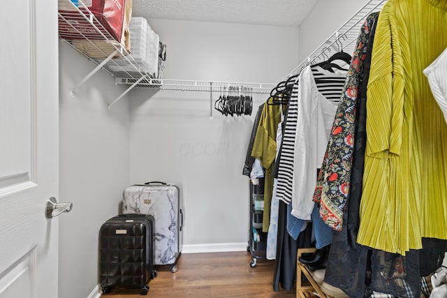 7742 Blue Juniper Dr, Westerville, OH 43082 - spacious closet with wood finished floors