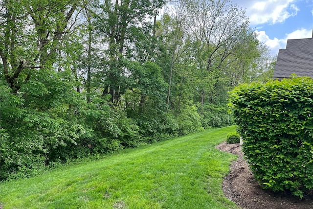7742 Blue Juniper Dr, Westerville, OH 43082 - view of green lawn