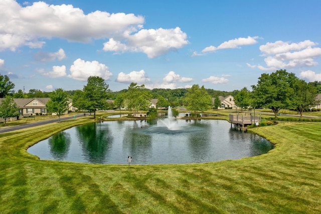 7742 Blue Juniper Dr, Westerville, OH 43082 - water view