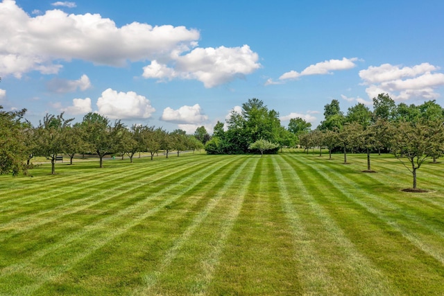 7742 Blue Juniper Dr, Westerville, OH 43082 - view of grassy yard featuring view of scattered trees