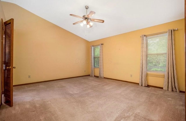 843 Harmony Dr, Gahanna, OH 43230 - photo 20