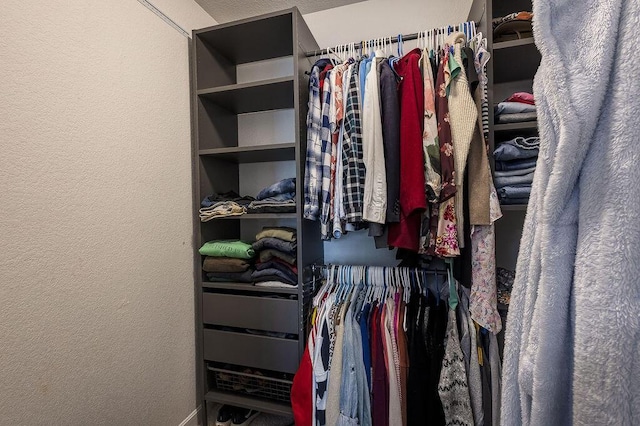 view of spacious closet